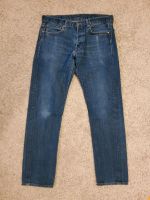 2× Blue Jeans Herren Ralph Lauren 34/32 Schleswig-Holstein - Trittau Vorschau