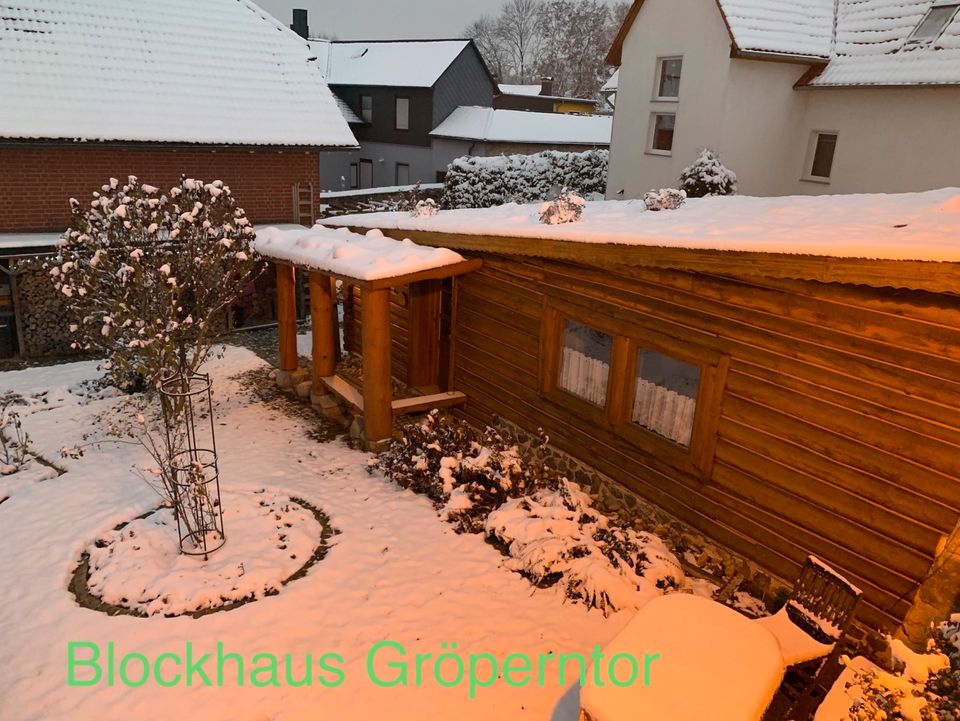 ☀️ Blockhaus mit Sauna in Quedlinburg Ferienhaus Ferienwohnung ☀️ in Quedlinburg