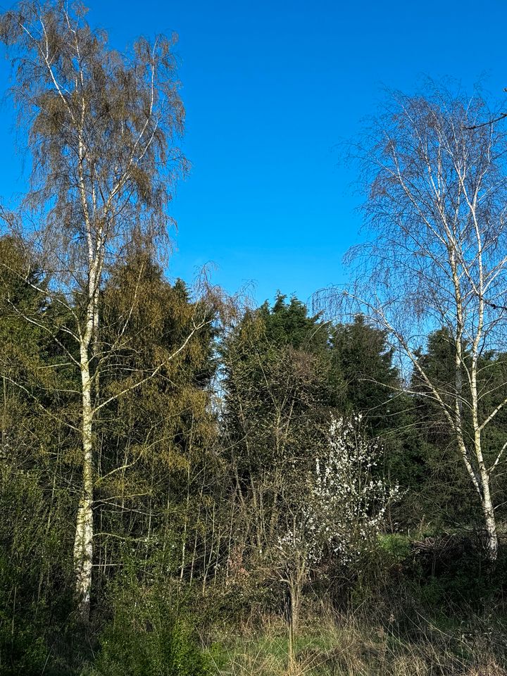 Schrebergarten, Hundewiese, Bienenstock, Kinderspielplatz, was ist deine Idee? Hier hast du freien Lauf! in Geldern