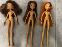 Mattel Winx Club Puppen nude Bloom Layla Baden-Württemberg - Karlsruhe Vorschau