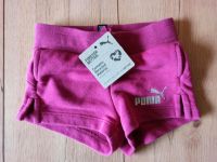 Puma Shorts kurze Hose Sweathose Kind Mädchen Rheinland-Pfalz - Linz am Rhein Vorschau