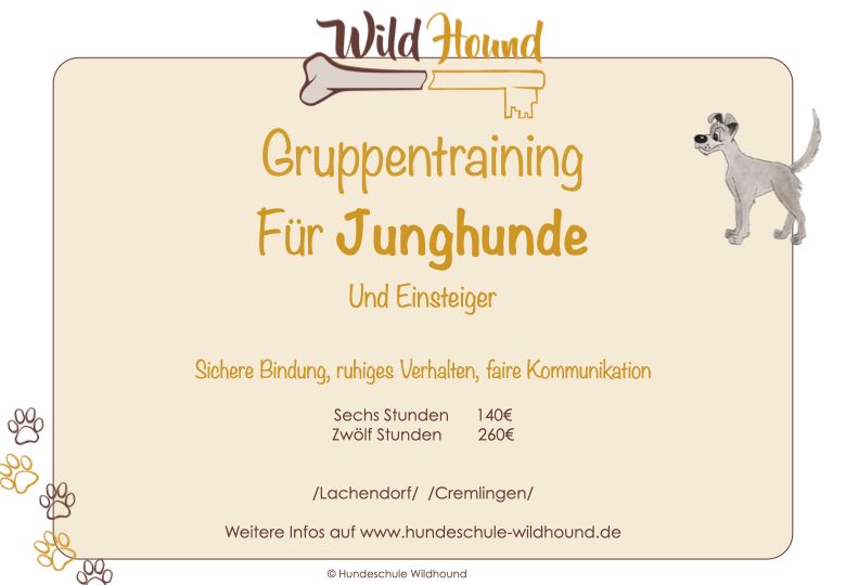 Hundetraining / Junghund / Gruppentraining in Celle