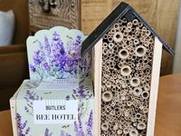 BUTLERS BEE HOTEL mit Bio Lavendelsamen  NEU Lübeck - Travemünde Vorschau