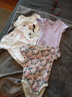 Sommer Bodys Baby Schleswig-Holstein - Nusse Vorschau