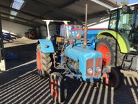 Ford Fordson Dexta 232 Traktor Bayern - Burgbernheim Vorschau