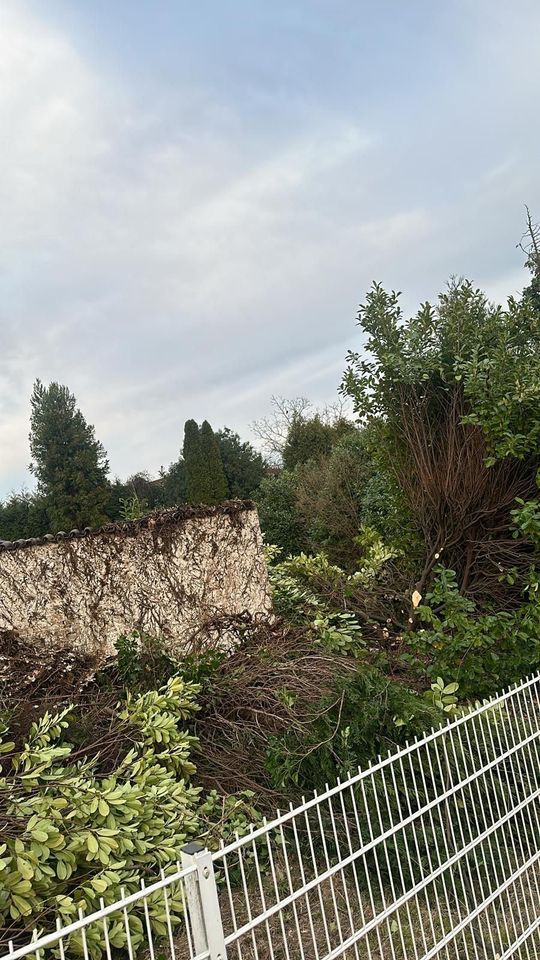 Mäharbeiten, Hecke schneiden, Gartenpflege, Grünschnitt in Pulheim