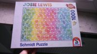 Super schönes, buntes Puzzle (1000 Teile) Hessen - Friedberg (Hessen) Vorschau