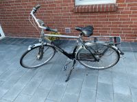 Gazelle 28er Herrenfahrrad Niedersachsen - Sande Vorschau