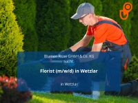 Florist (m/w/d) in Wetzlar | Wetzlar Hessen - Wetzlar Vorschau