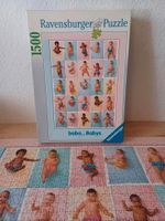 Ravensburger Puzzle, 1500 Teile, Babys dieser Welt Nordrhein-Westfalen - Brühl Vorschau