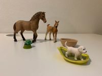 Schleich sahras  Tierbaby-Pflege Niedersachsen - Bramsche Vorschau