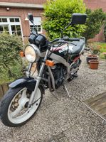 Suzuki Gs500 Nordrhein-Westfalen - Steinfurt Vorschau