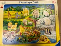 Puzzle, Ravensburger, ab 3 Thüringen - Heldrungen Vorschau