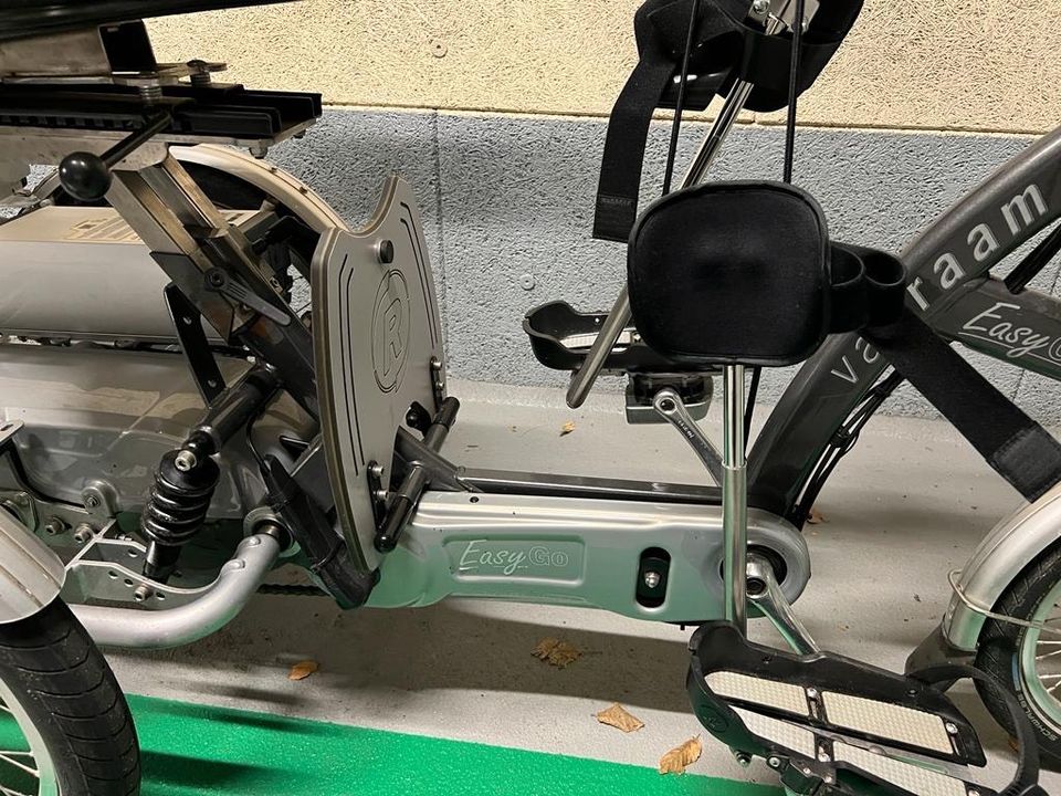 Seniorenfahrrad Dreirad Scooter Easy Go Behinderung van Raam in Pinneberg