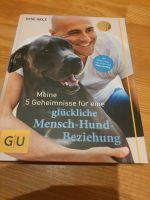 Jose Arce - Meine 5 Geheimnisse für eine glückliche Mensch-Hund Neumünster - Schillsdorf Vorschau