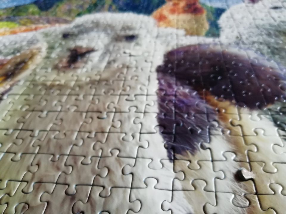 Vier Puzzle mit jeweils 1000 Teilen in Untersiemau