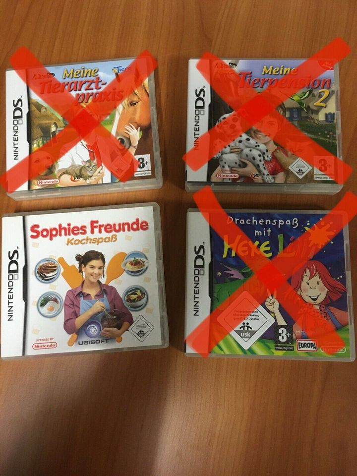 Nintendo DS Spiele in Rendsburg