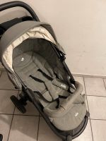 Joie Buggy Hessen - Waldbrunn Vorschau