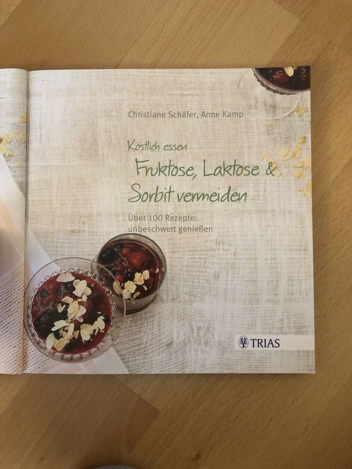 Fruktose Laktose Sorbit 100 Rezepte Buch in Nürnberg (Mittelfr)