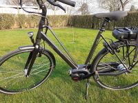 Pedelec/E-Bike der Marke Batavus Nordrhein-Westfalen - Goch Vorschau