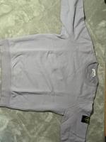 Stone Island Hessen - Wiesbaden Vorschau