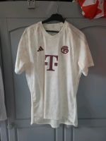 FC Bayern München Bayern - Forchheim Vorschau