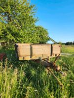 Traktor Anhänger/ Mistanhänger mit Kratzboden, Kunstoffboden Rheinland-Pfalz - Wallmerod Vorschau