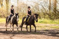 Geschenkidee: Gutschein für Reiten / Reitunterricht / Ponyreiten /Ausritt Schleswig-Holstein - Rümpel Vorschau