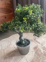 Bonsai Kunstbaum Essen - Altenessen Vorschau