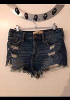 Hollister Hotpants Gr. 29 Damen Hessen - Griesheim Vorschau