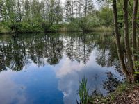 Suche Teich zum Pachten Niedersachsen - Bleckede Vorschau