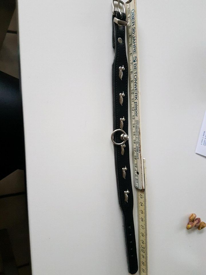 Hunter Leder-Halsband Jagdmotiv 32cm zu verkaufen in Recklinghausen