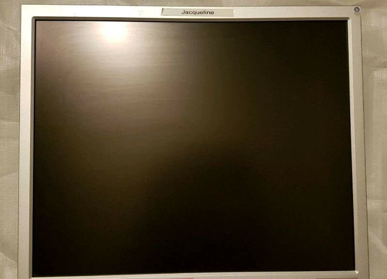 TERRA LCD 4219 Monitor 19" 5ms, DVI,TCO silber/schwarz in Stollberg