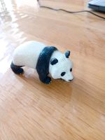 Schleich Panda Bär Nordrhein-Westfalen - Gescher Vorschau