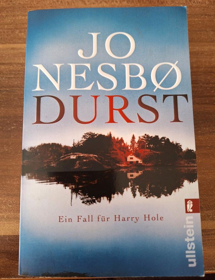 Jo Nesbo Durst ungelesen in Dollern