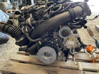 BMW 5er G30 545e B58B30 Motor Triebwerk Engine Nordrhein-Westfalen - Dorsten Vorschau