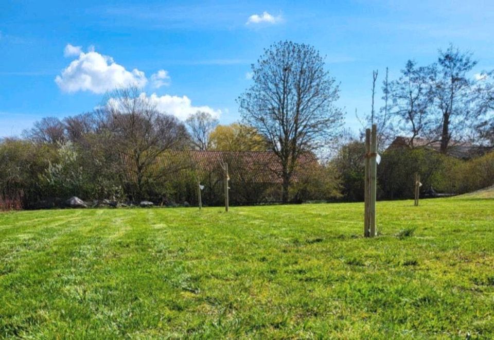 Stellplatz auf der Obstwiese in Petershagen