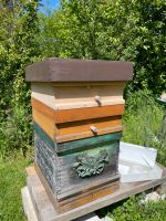Bienenbeute/n Herold Zander 1,5 gebraucht Bayern - Mittelneufnach Vorschau