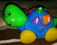 Fisher Price Schildkröte mit Sound und Licht Nordrhein-Westfalen - Paderborn Vorschau