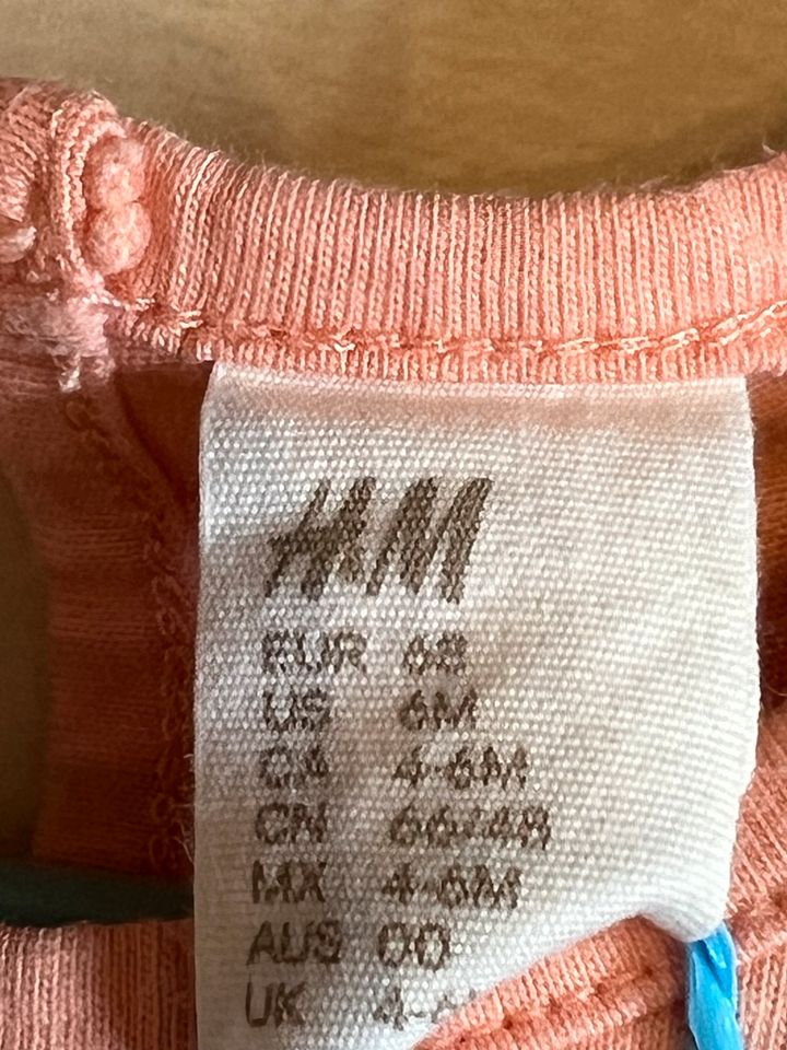 H&M Sommer Shirt Mädchen Gr 68 in Stuttgart