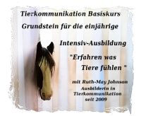 Tierkommunikation Kurs 13/14 Juli 24 Rastede/Niedersachsen Niedersachsen - Rastede Vorschau