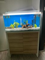 Fluval Premium Aquariumkombination Fresh F90, 129 l viel Zubehör Bayern - Pyrbaum Vorschau