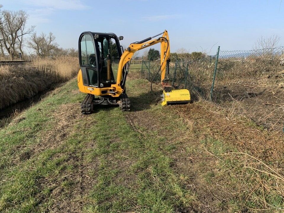 Böschung mulchen / Gestrüpp und Brombeeren entfernen / Rodung in Minfeld