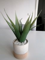 NEU Aloe Vera, Kunstpflanze, Kaktus, künstliche Pflanze, Deko Nordrhein-Westfalen - Recklinghausen Vorschau