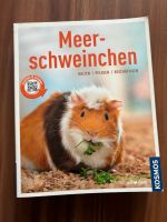 Buch Meerschweinchen Baden-Württemberg - Ertingen Vorschau