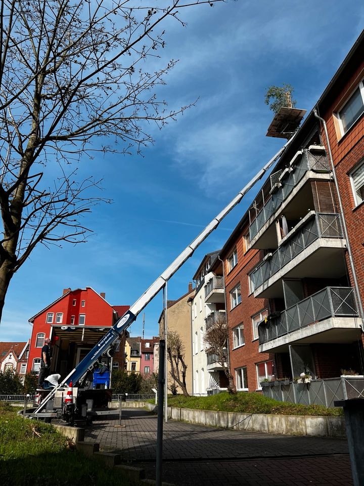 Möbellift Aussenaufzug Umzugslift Möbelaufzug Goslar in Goslar