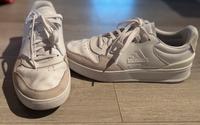 Adidas Sneaker UK 8 (Gr. 42) Hessen - Bischofsheim Vorschau