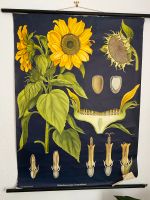 Schulwandkarte/Rollkarte Sonnenblume Rheinland-Pfalz - Freinsheim Vorschau