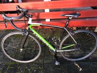 Rennrad Haibike Challenge Carbon 52 Hessen - Neuhof Vorschau