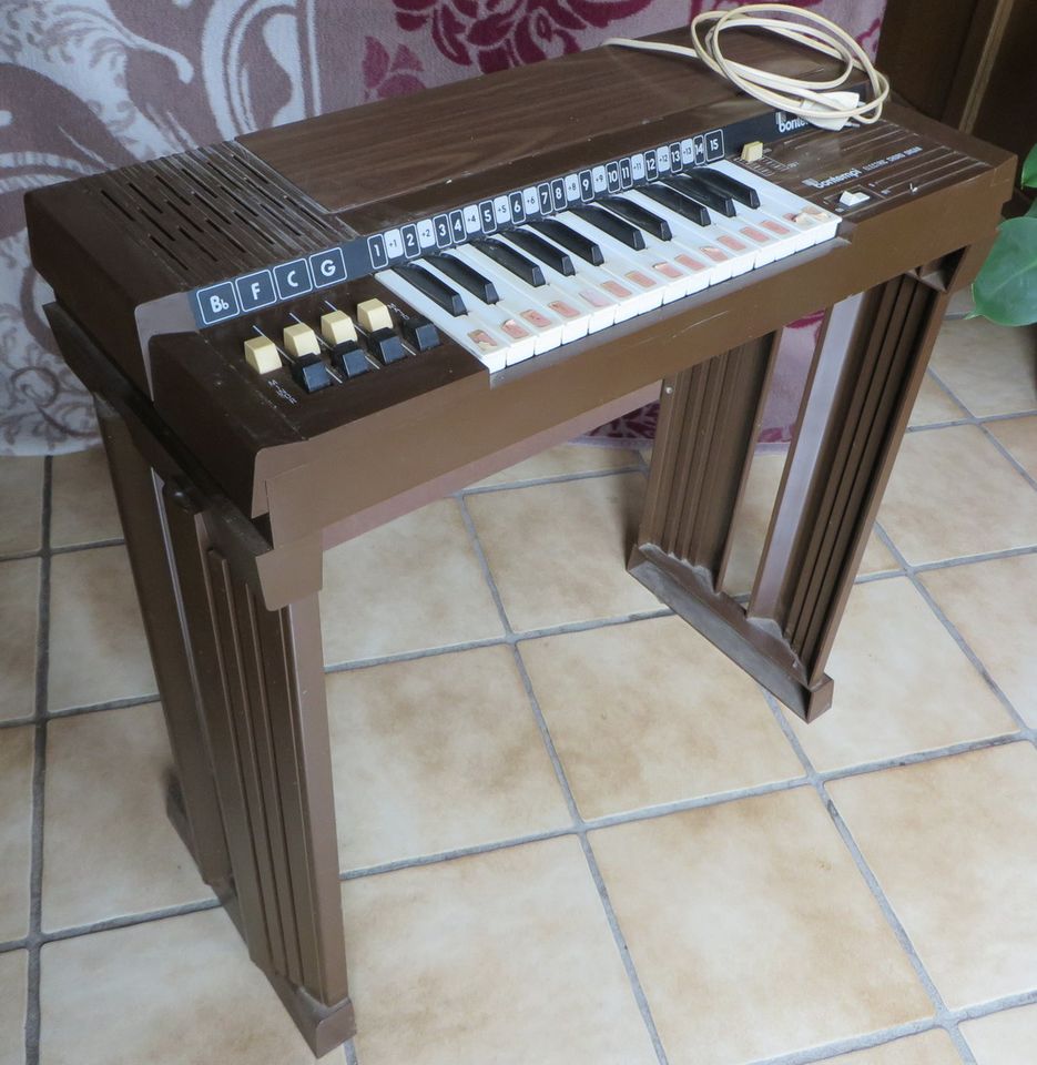 Luftorgel Bontempi Electric Chord Organ Orgel in Achstetten